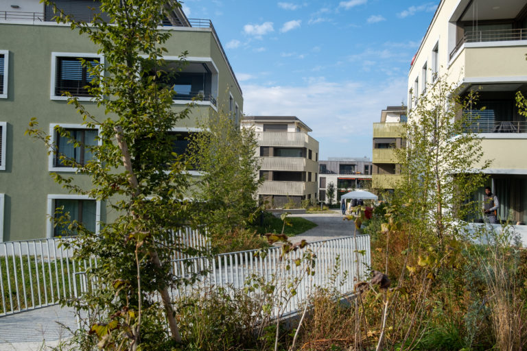 Écoquartier Record - Au Crépon Est